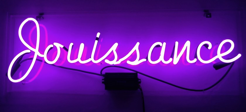 schnibbe-jouissance-neon