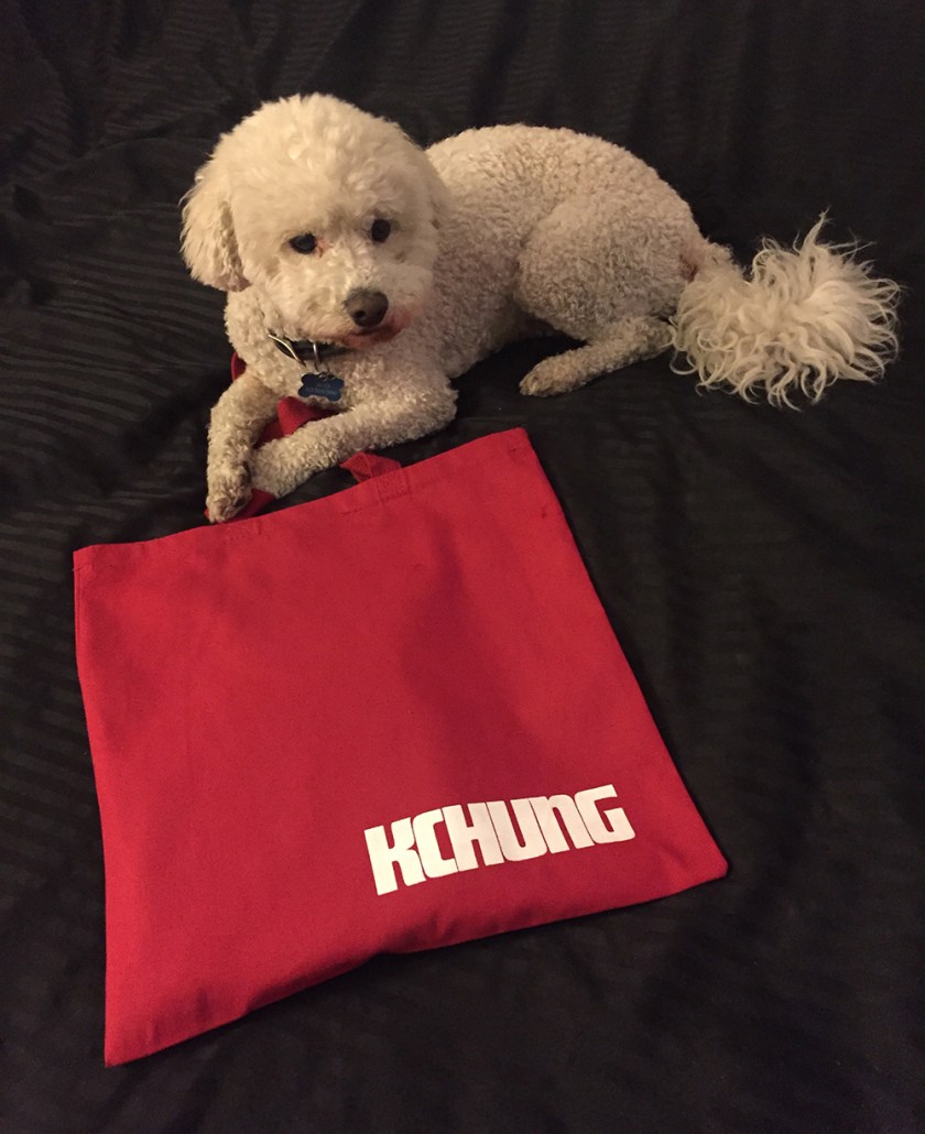 kchung-tote-with-poodle-1000px